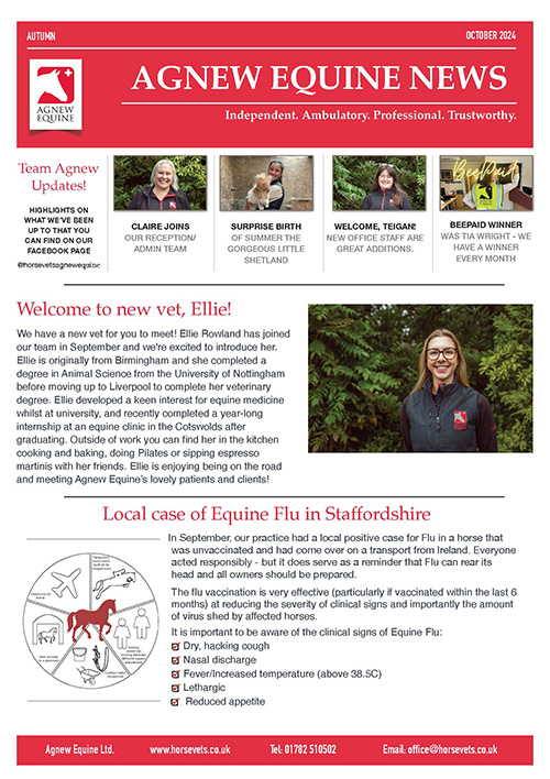 Agnew Equine Autumn 24 Newsletter